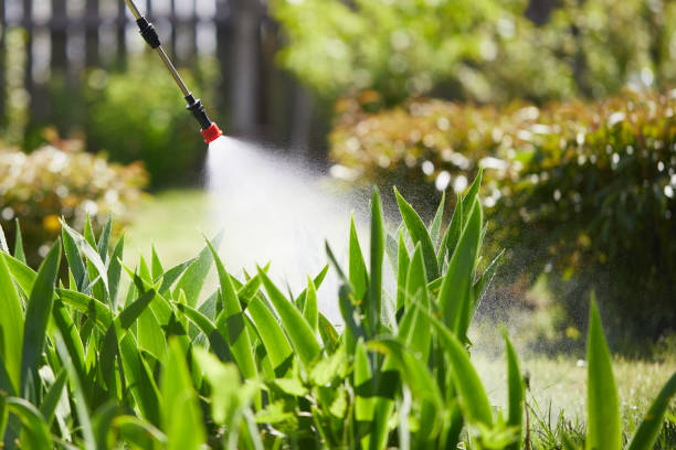 Tamper-Resistant Bait Stations for Rodents in Rochester