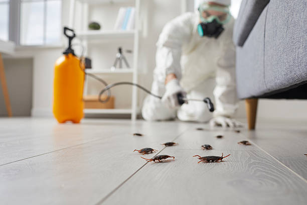 Commercial Rodent Management in Rochester